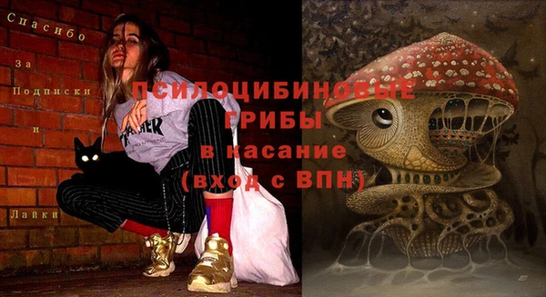 PSILOCYBIN Аша