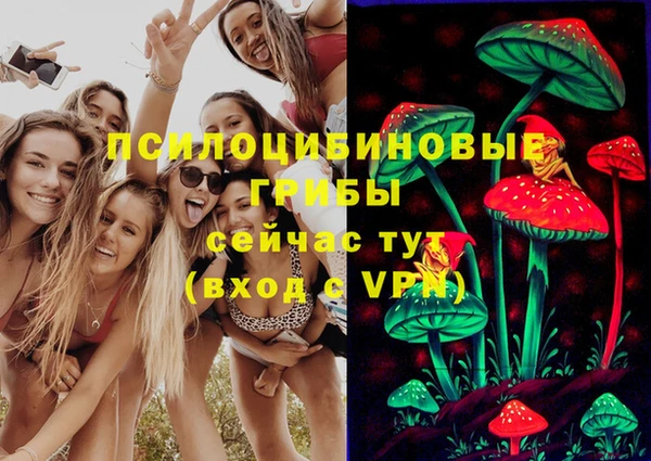 скорость mdpv Новодвинск