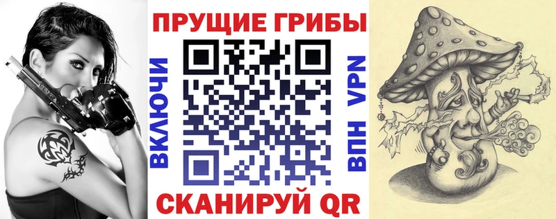 ссылка на мегу как войти  Ялуторовск  Псилоцибиновые грибы прущие грибы 