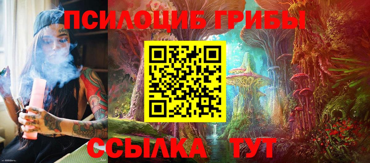 Галлюциногенные грибы Magic Shrooms  наркотики  Ялуторовск 