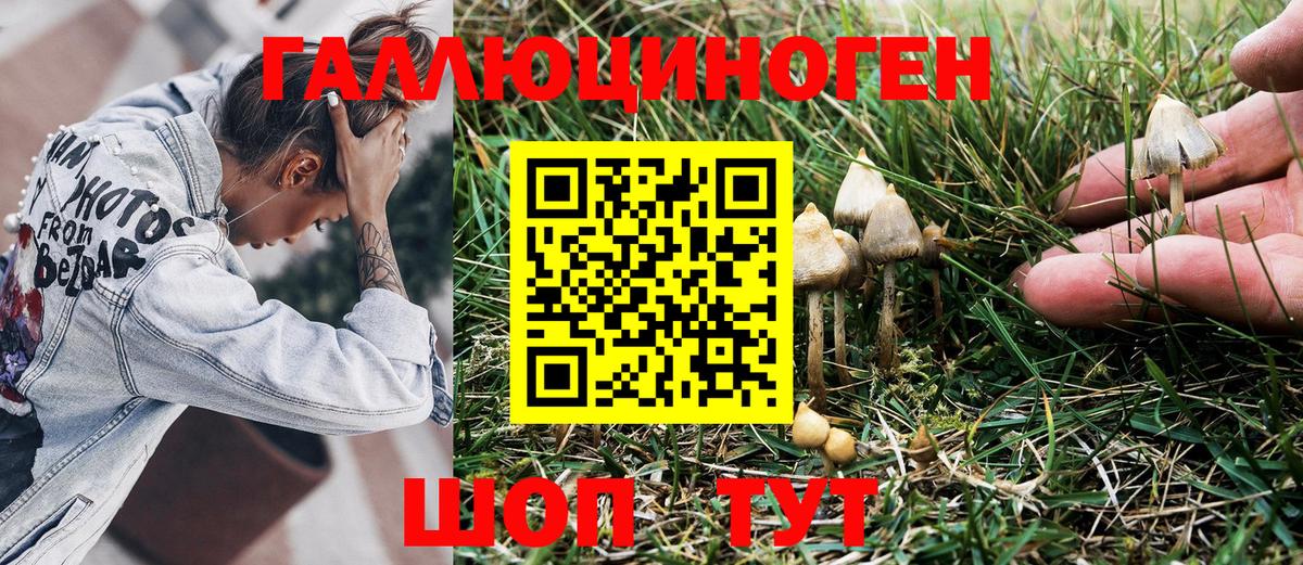 Псилоцибиновые грибы MAGIC MUSHROOMS  Вход с VPN  где купить наркоту  Ялуторовск 